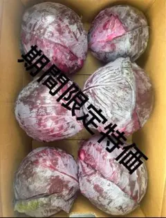 新鮮なくろべえナス（群馬産）訳あり茄子　産地直送　朝取りなす！160サイズ 新鮮なくろべえナス（群馬産）訳あり茄子 産地直送 朝取りなす！160