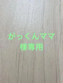 がっくんママ様専用