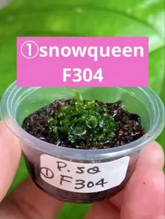 【速達❣️】たか様 リクエスト 3点 まとめ商品