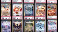 【ALLPSA10・10連番】ブイズSAR テラスタル ブラッキー下3桁400