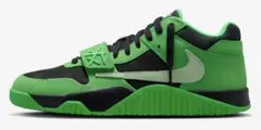 Travis Nike Jordan CJ1 T-Rexx Green