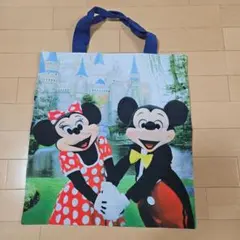 ディズニー ザハピネスイヤー 30TH 実写 ミッキー ミニートートバッグ