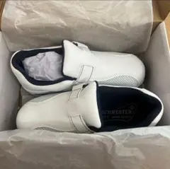 Item thumbnail for item 95fe7588-5043-4777-baca-4bf38fa01885