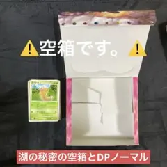 【空き箱】ポケモンカード 湖の秘密 DP 空箱 ノーマル 高さ2cm強 セット