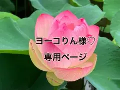 ヨーコりん様♡専用ページ 白いお花と黒猫チャーム10個 カゴに入っている猫