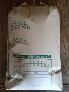 令和7年あさひの夢農家直送！！ 無洗米10キロ キュウリのおまけ付き 