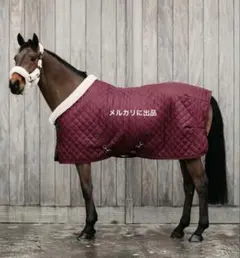 2025年最新】馬着の人気アイテム - メルカリ