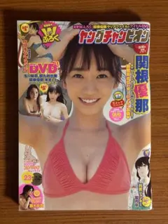 DVD 非売品 小倉優子 アミューズメントエディションDVD peach - メルカリ