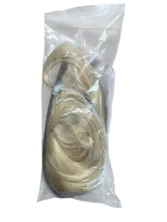 Item thumbnail for item 0503076c-adf0-49f6-8022-97d1769a9e42