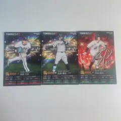 Calbeeプロ野球チップストレーディングカード3枚セット