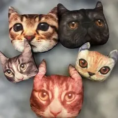 リアル 猫フェイス クッション 5点セットのサムネイル