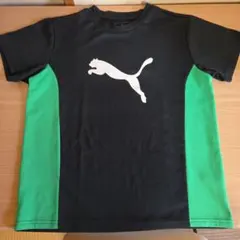 PUMA 黒/緑 Tシャツ 160　半袖