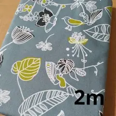★鳥×花柄 北欧風 ボタニカル 生地幅×2m グレー