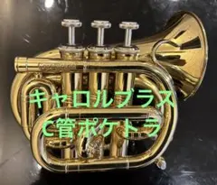 Item thumbnail for item 6c847841-0cff-41cc-a7b9-7c5a4f8afcdf