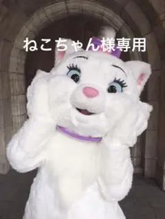【ねこちゃん様専用】