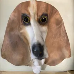 Item thumbnail for item d8d471dc-97dc-4f96-b683-7f65168acb61