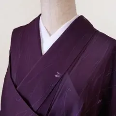エルフ・モール様専用 R8SK572 色無地 絽 夏物 薄物 違い鷹の羽 シルク