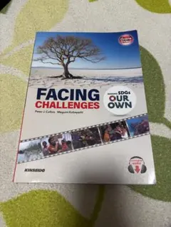 Facing Challenges Making SDGs Our Own