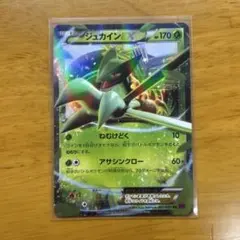 MジュカインEX RR XY7 008/081 - メルカリ