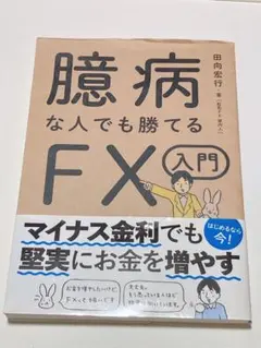 臆病な人でも勝てるFX入門