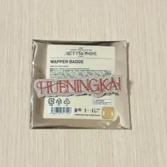 ヒュニンカイ TXT トゥバ ワッペンバッジ