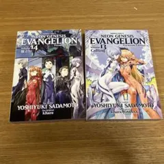 EVANGELION premium Edition 13．14 付録のみ