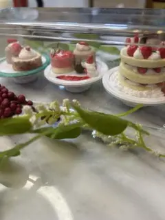 ミニチュアスイーツ5個セット