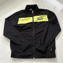 PUMA 150cm ジャージ上着