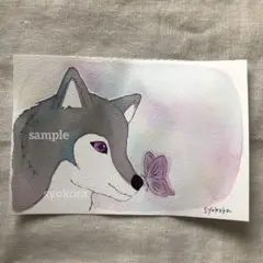 原画　水彩画　狼　蝶々　ポストカード　手描きイラスト　アナログイラスト