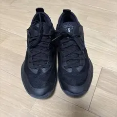 asics GLIDE NOVA FF 3バッシュ25.0cm 2E