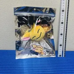 stray kids スキズ サウナ アイエン メンプロ バッグチャーム c