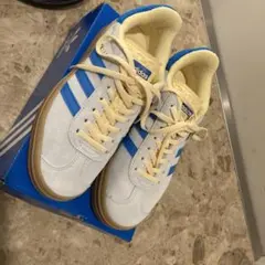 5/1まで　ちゃむ様専用