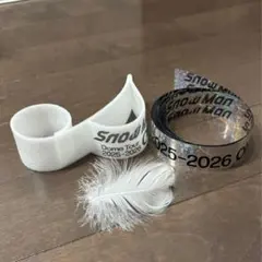 Snow Man LIVE TOUR 2025-2026 ON 銀テ音符＆羽根③