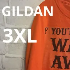 GILDAN アメリカTシャツ 輸入品 品薄 希少 3XL