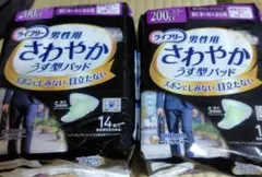 Item thumbnail for item fa18d81f-680e-440f-bba3-bdb6b096bcdb