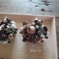 Petite・Foret ～木の実のタルト～【プレーン】ドライフラワー リース