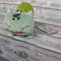 2026年最新】ぬいぐるみ my ポケモン コレクションの人気アイテム