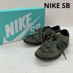 NIKE SB DUNK LOW PRO 替え紐付き 値下げ可能！ - メルカリ