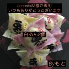 [岩谷堂羊羹の回進堂]栗もなかo白あん8個