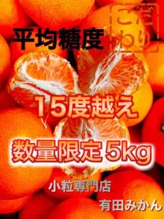 絶品‼️糖度15度越え‼️プレミアムみかんキング　旬味有田みかん　宮川早生 　5Kg