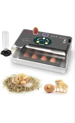 12 인용 LED 조명이 달린 자동 계란 인큐베이터