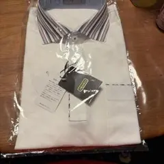 アラミス ホワイト 長袖シャツ