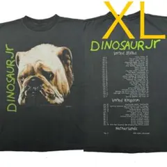 新夏特別価格 Dinosaur Jr. ダイナソージュニア グランジ 5 L - メルカリ