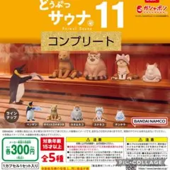 ラ*ー様 どうぶつサウナ　ガチャ　コンプリート　11