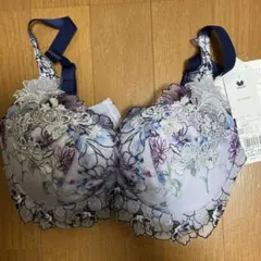 ワコールプレミアム D70 M 27 ベルギー ブリュッセル 花の広場
