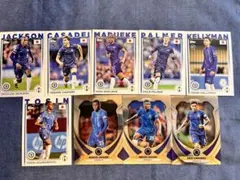 Item thumbnail for item 1c2126d6-b7d1-4a74-acb1-bb713684b645