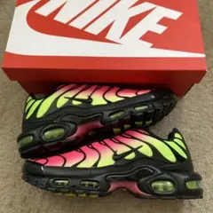 Nike Air Max Plus 周年モデル - メルカリ