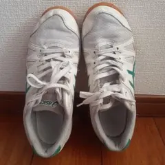 ASICS TSX1402 ホワイト/グリーン 25.0 cm