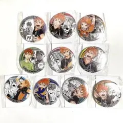 ハイキュー!! コレクション缶バッジ HEROES 日向翔陽 コンプリートセット