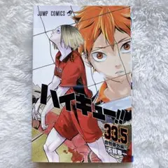ハイキュー 入場特典 ゴミ捨て場の決戦 漫画